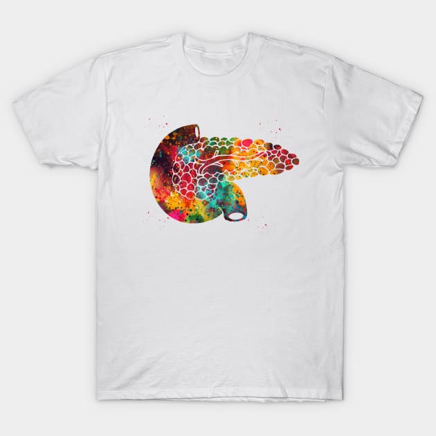 Pancreas T-Shirt by erzebeth